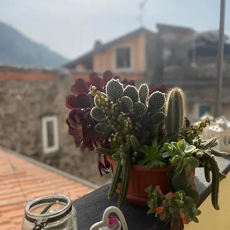 Casa Di Cri